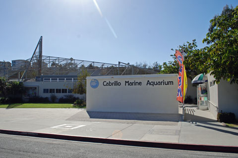 Cabrillo Marine Aquarium, Los Angeles County, CA
